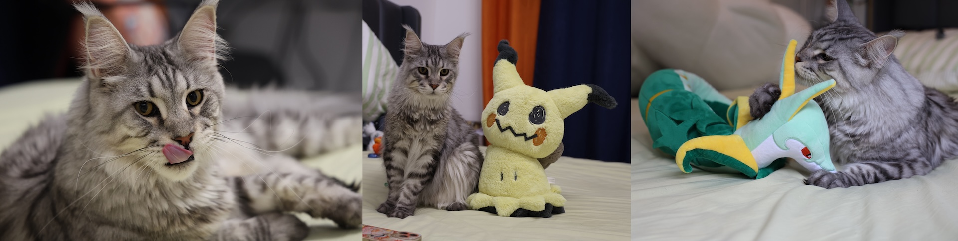 Picsew_20251019225625